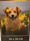 Preview: Diamond Painting Golden Retriever