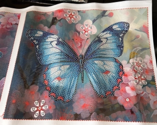 Preview: Diamond Painting 2 Stück Schmetterlinge