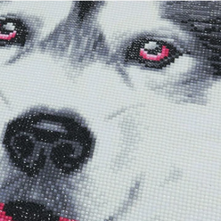 Preview: Diamond Painting Kissenbezug Husky