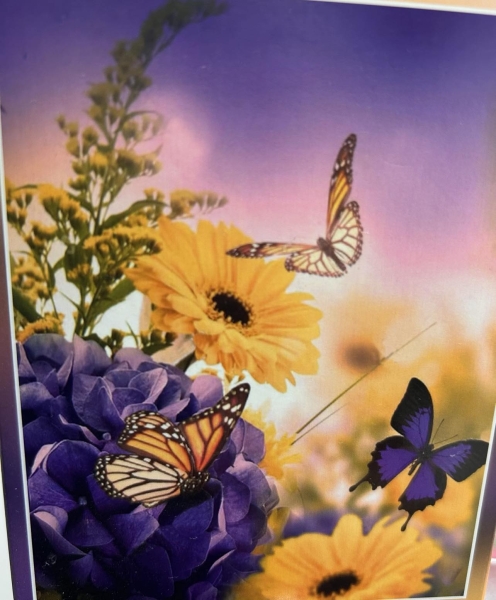 Diamond Painting Blumenwiese